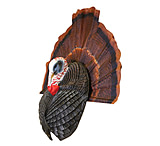 Image of Plano Thunder Chicken