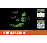 Image of Forensics Source Hemascein Kit For Detection And Ident