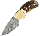 Image of Fox-N-Hound Mini Skinner Damascus Knife