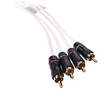 Image of Fusion MS-FRCA6 Premium 6' 4-Way Shielded RCA Cable