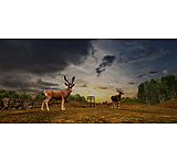 Image of Gaim Fallow Deer Grass Meadow Training Gear