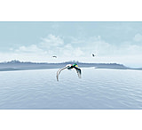 Image of Gaim Mallard Duck Training Gear