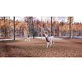 Image of Gaim White Tail Deer Trail Training Gear