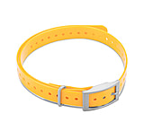 Image of Garmin Square Buckle Collar Strap