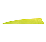 Image of Gateway Shield Cut Feathers 1406994