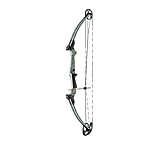 Image of Genesis Genesis Bow