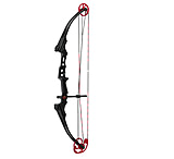 Image of Genesis Mini Bow