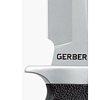 Image of Gerber Steadfast Fine Edge Fixed Blade Knife