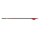 Image of Gold Tip Kinetic Arrows