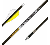 Image of Gold Tip Kinetic Pierce Platinum Arrows