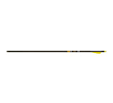 Image of Gold Tip Lightning Arrows