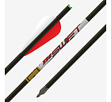 Image of Gold Tip Swift Arrows