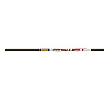 Image of Gold Tip Swift Bolt Shafts