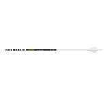 Image of Gold Tip Ted Nugent Arrows