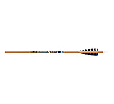 Image of Gold Tip Traditional XT Arrows