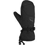 Image of Gordini Fall Line Mittens- Men's