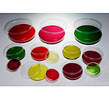 Image of Gosselin North America/Corning Petri Dish Ps 90mm Frst Cs825 BI93D-01