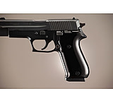 Image of Hogue SIG Sauer P220 Handgun Grip American Aluminum - Brushed Gloss Black Anodized 20166