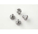 Image of Hogue SIG Sauer P220 Handgun Grip Screws (4) Slotted - Stainless Finish 20018