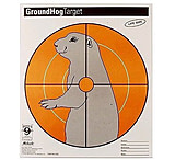 Image of Hoppe's 9 Ground Hog Paper Target CT2
