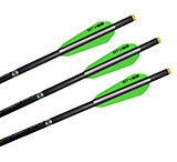 Image of Horton Archery Carbon 20 in Arrows