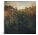 Image of iCanvas Asleep by Tordis Kayma Canvas Print