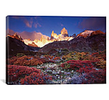 Image of iCanvas Autumn Foliage, Monte Fitz Roy, Parque Nacional los Glaciares, Patagonia, Argentina by Gareth McCormack Canvas Print
