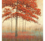 Image of iCanvas Autumn Trees II by James Wiens Canvas Print