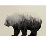 Image of iCanvas Bear in the Mist by Andreas Lie - Canvas Print