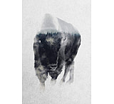 Image of iCanvas Bison In Mist by Andreas Lie - Canvas Print