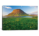 Image of iCanvas Buttercup Meadow I, Kirkjufell, Grundarfjordur, Snaefellsnes Peninsula, Vesturland, Iceland by Gareth McCormack Canvas Print