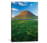 Image of iCanvas Buttercup Meadow II, Kirkjufell, Grundarfjordur, Snaefellsnes Peninsula, Vesturland, Iceland by Gareth McCormack Canvas Print