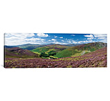 Image of iCanvas Cloghoge Valley II, Wicklow Mountains, County Wicklow, Leinster Province, Republic Of Ireland by Gareth McCormack Canvas Print