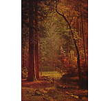 Image of iCanvas Dogwood By Albert Bierstadt Canvas Print
