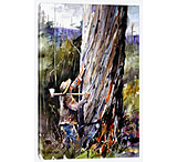 Image of iCanvas Man vs Nature by Dean Crouser Canvas Print