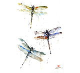 Image of iCanvas Dragonflies by Dean Crouser Canvas Print
