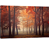 Image of iCanvas Feel Canvas Print