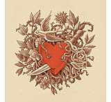 Image of iCanvas Heart of Thorns by Terry Fan Canvas Print