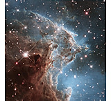 Image of iCanvas NGC 2174 (Monkey Head Nebula) (Hubble Space Telescope 24th A by NASA - Canvas Print