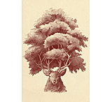 Image of iCanvas Old Growth by Terry Fan Canvas Print