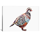 Image of iCanvas Partridge by Becksy Canvas Print