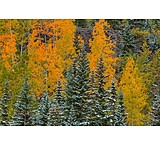 Image of iCanvas Pastel Splash by William Sherrell - Canvas Print