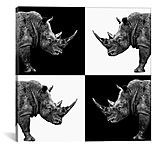 Image of iCanvas Safari Profile Series: Rhinos II by Philippe Hugonnard Canvas Print