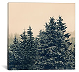 Image of iCanvas Strange Days by Tordis Kayma Canvas Print