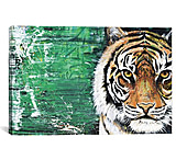 Image of iCanvas Tiger by Piero Manrique Canvas Print
