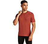 Image of Icebreaker Merino 200 Oasis SS Crewe - Men's