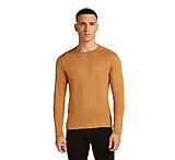 Icebreaker Merino 260 Tech Long Sleeve Crew Thermal Top - Men's