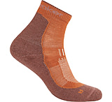 Icebreaker Merino Hike+ Light Mini Socks - Men's