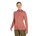 Image of Icebreaker Women Merino 260 Quantum LS Zip Hoodie