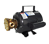 Image of Jabsco Bronze AC Motor Pump Unit